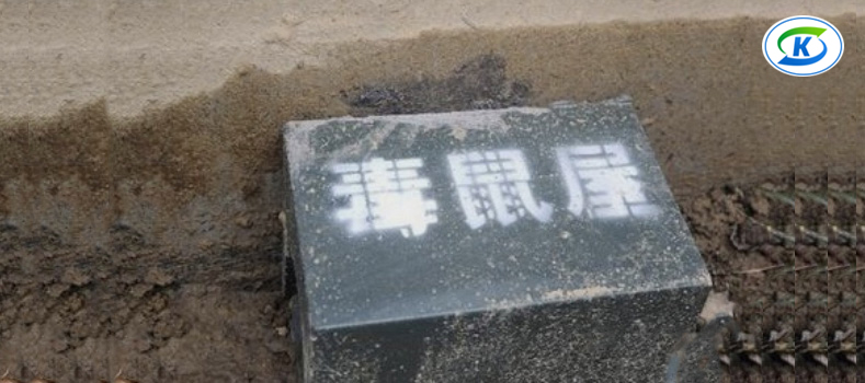 商超、連鎖業(yè)蟲害防治(圖4)